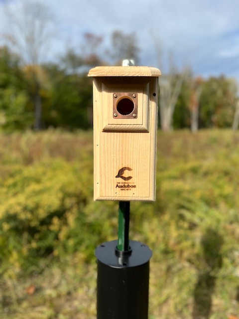 New Bluebird Boxes have been installed in Jeniam Meadow